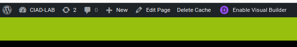 WP CMS page editor link