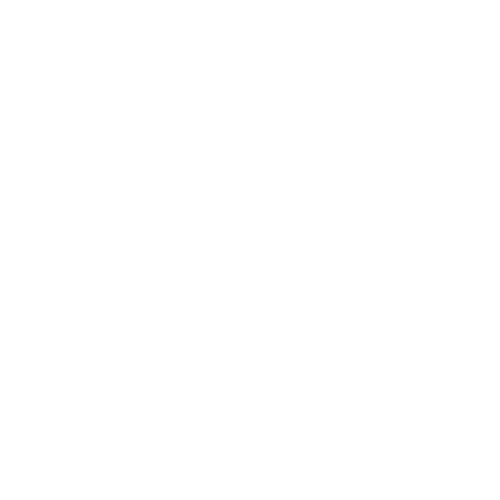 NOES